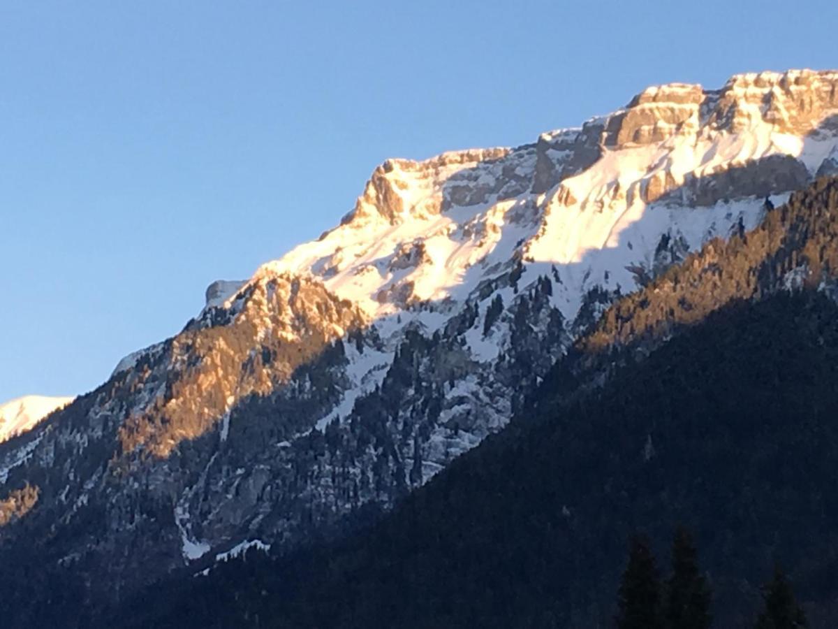 Ferienwohnung Interlaken/Вилдерсвил Екстериор снимка